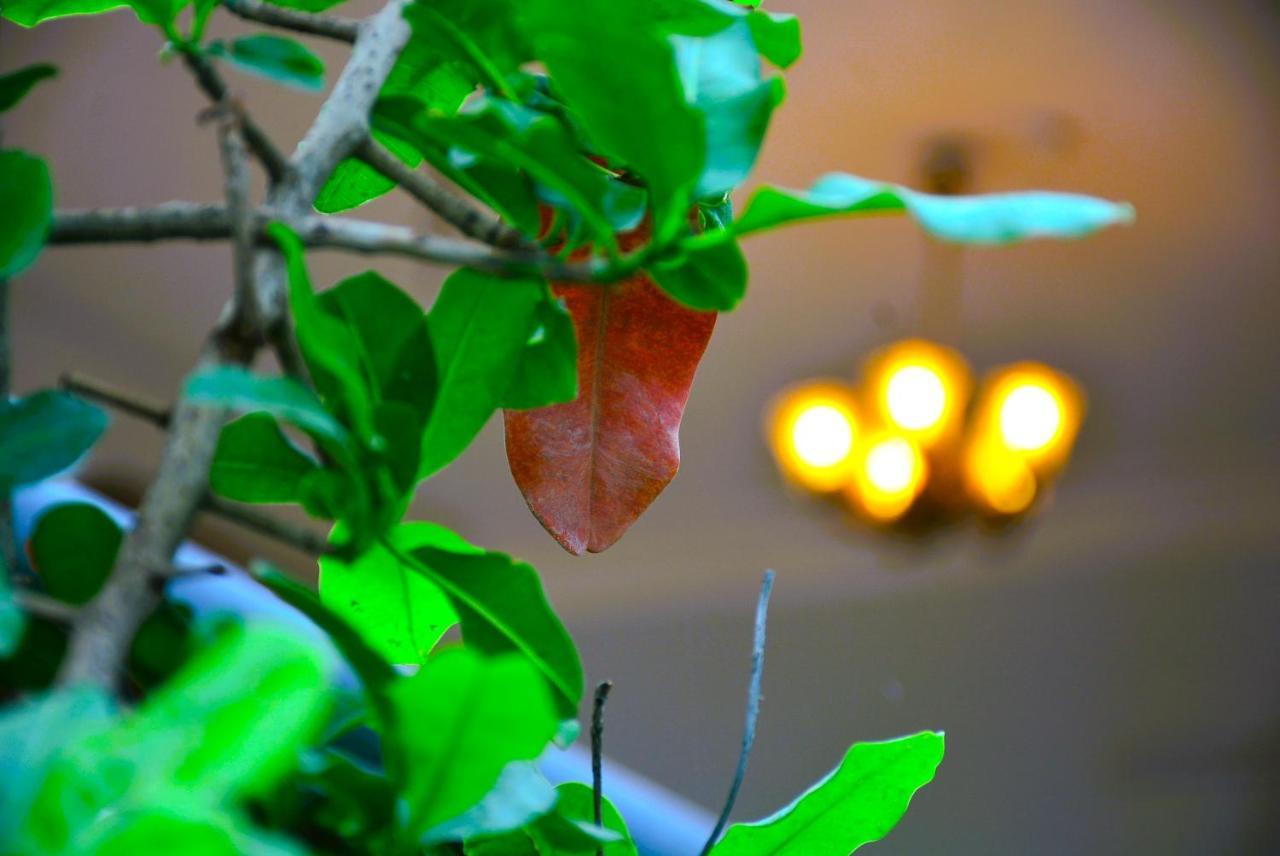 Malaiya Homestay - Grandeur Living Experience Jabalpur Exteriér fotografie